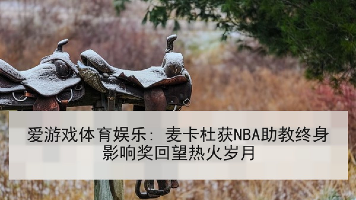 爱游戏体育娱乐: 麦卡杜获NBA助教终身影响奖回望热火岁月