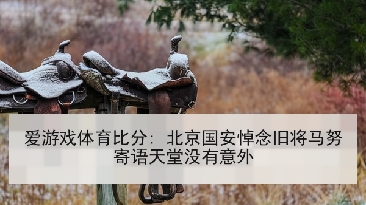 爱游戏体育比分: 北京国安悼念旧将马努寄语天堂没有意外