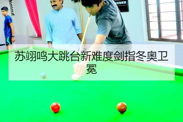 su-yi-ming-da-tiao-tai-xin-nan-du-jian-zhi-dong-ao-wei-mian-3-733.jpg
